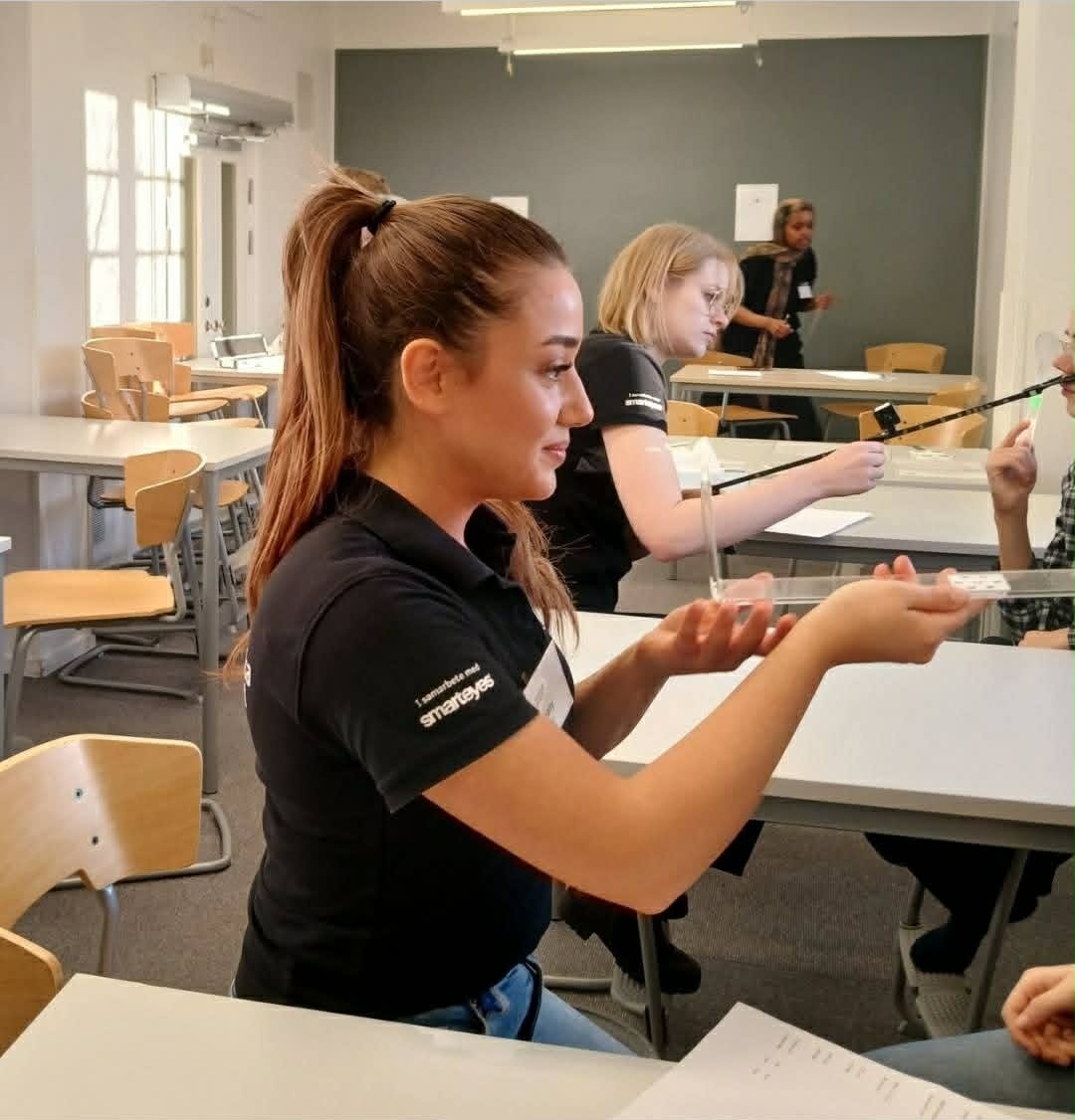 Föreläsning 9 av Samsynskonsulterna