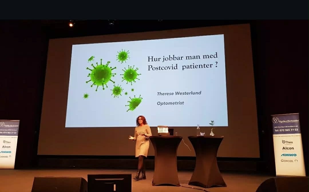 Föreläsning 17 av Samsynskonsulterna